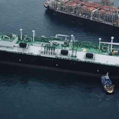 ABS Q235 หน้าแปลน 80Kpa กันชนยางทางทะเลสำหรับผู้ให้บริการก๊าซ Docking Bumper