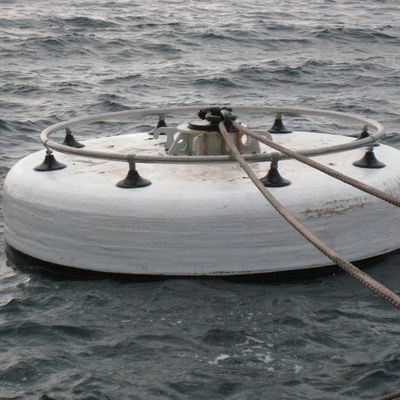EU ABS ผลิตในประเทศจีน Marine Barrier Buoy สำหรับ Security Barrier Polyurethane Buoy